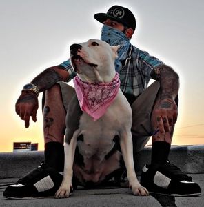 Meet your Posher, Brandon